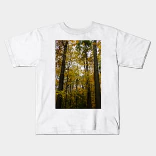 Bruce Trail Burlington, autumn colors Kids T-Shirt